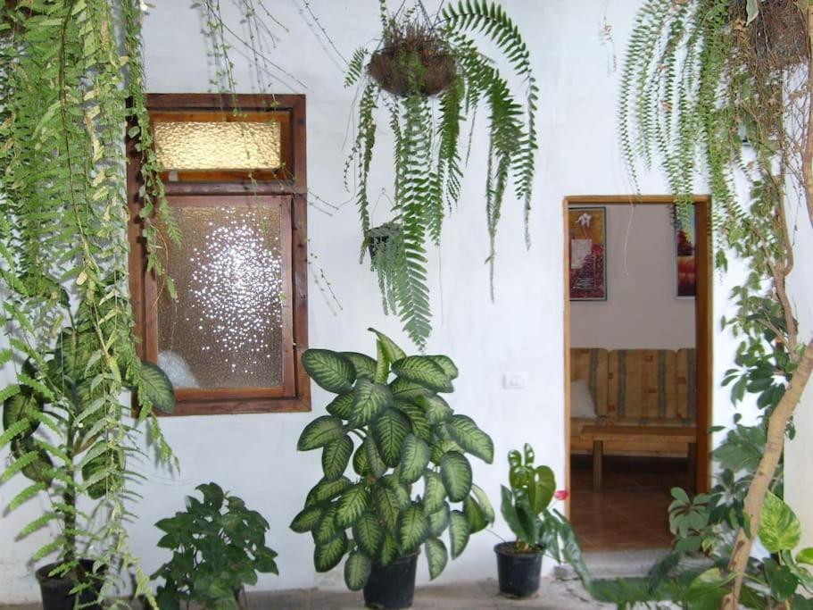Preciosa Casa Emblematatica, Piscina,Wifi Villa Santa Catalina Екстериор снимка