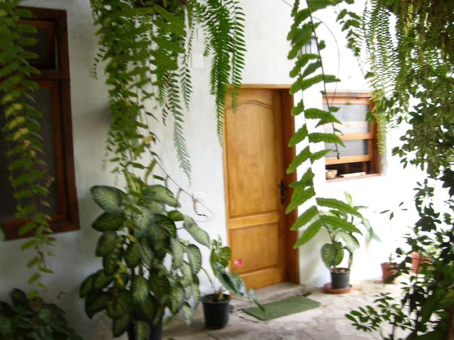 Preciosa Casa Emblematatica, Piscina,Wifi Villa Santa Catalina Екстериор снимка